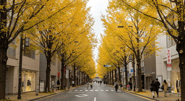 東京・表参道で服を買うならココ！大学生向けおすすめショップ - NNine