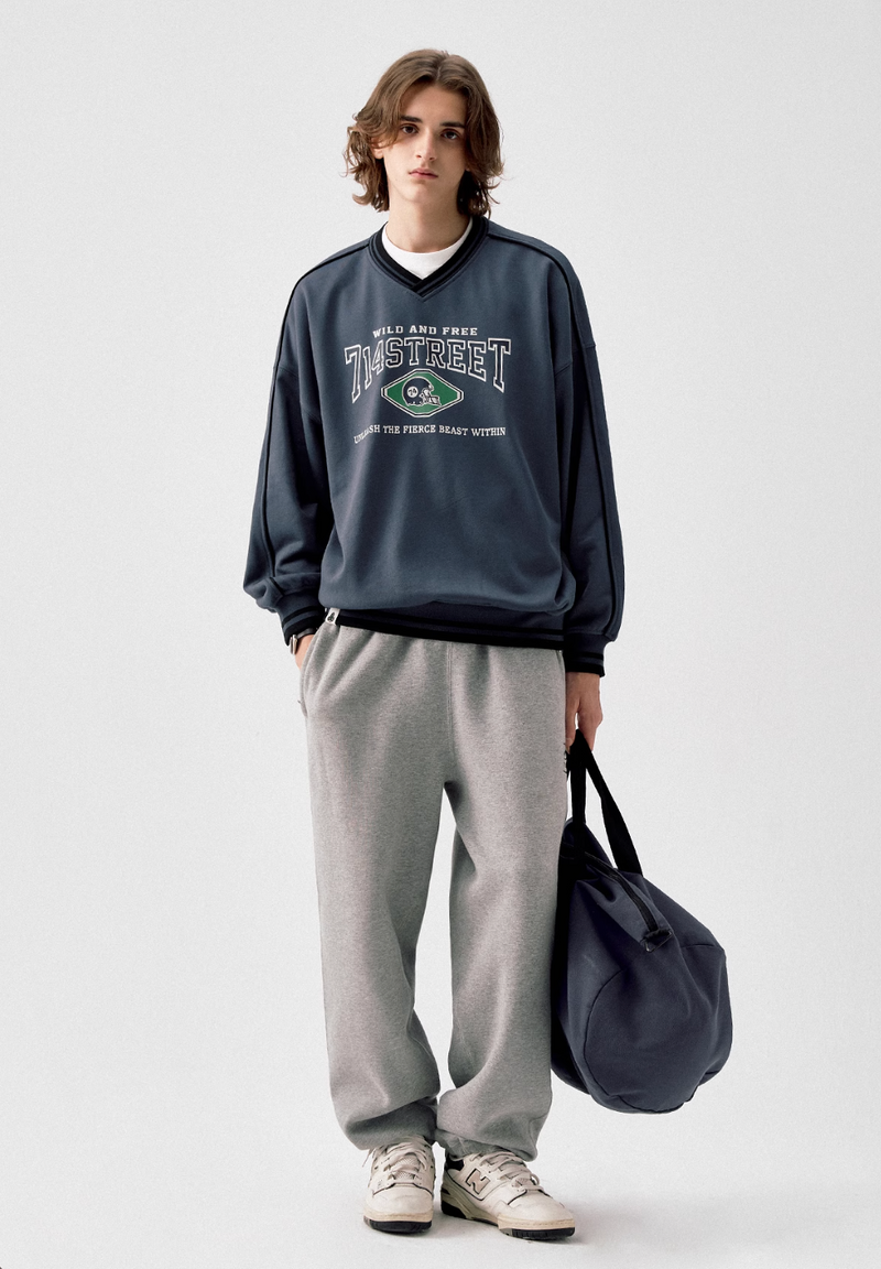 【390G】college football sweatshirt   N4813