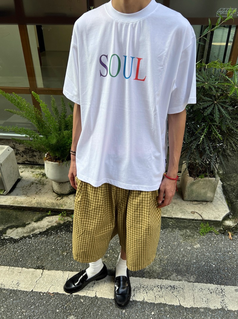 マルチカラーロゴ・プリントTシャツ  N5755