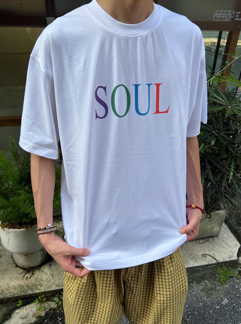 マルチカラーロゴ・プリントTシャツ  N5755