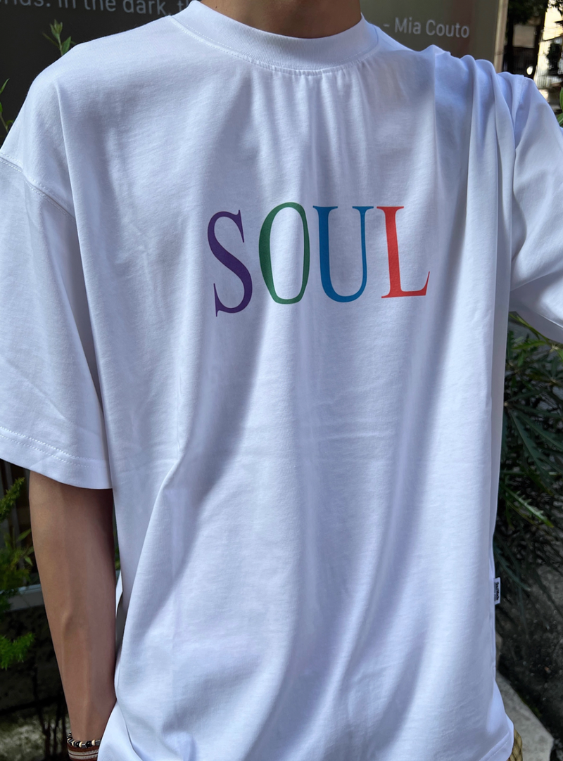 マルチカラーロゴ・プリントTシャツ  N5755