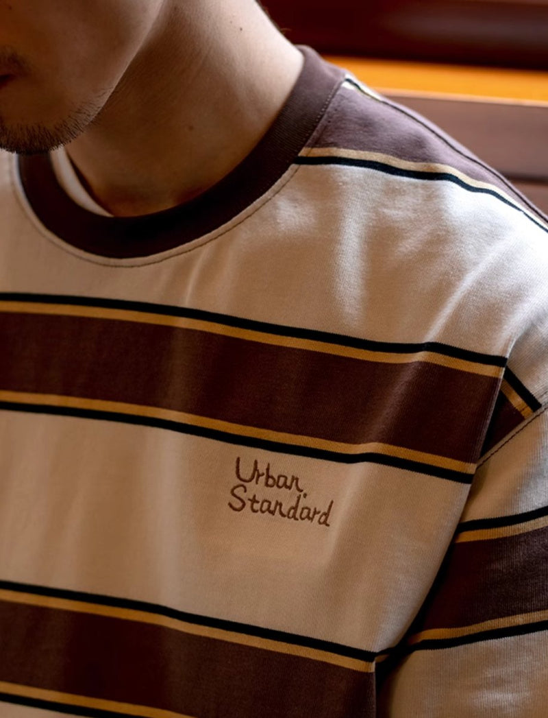 Brown striped T - shirt / ブラウンボーダーT N3884 - NNine