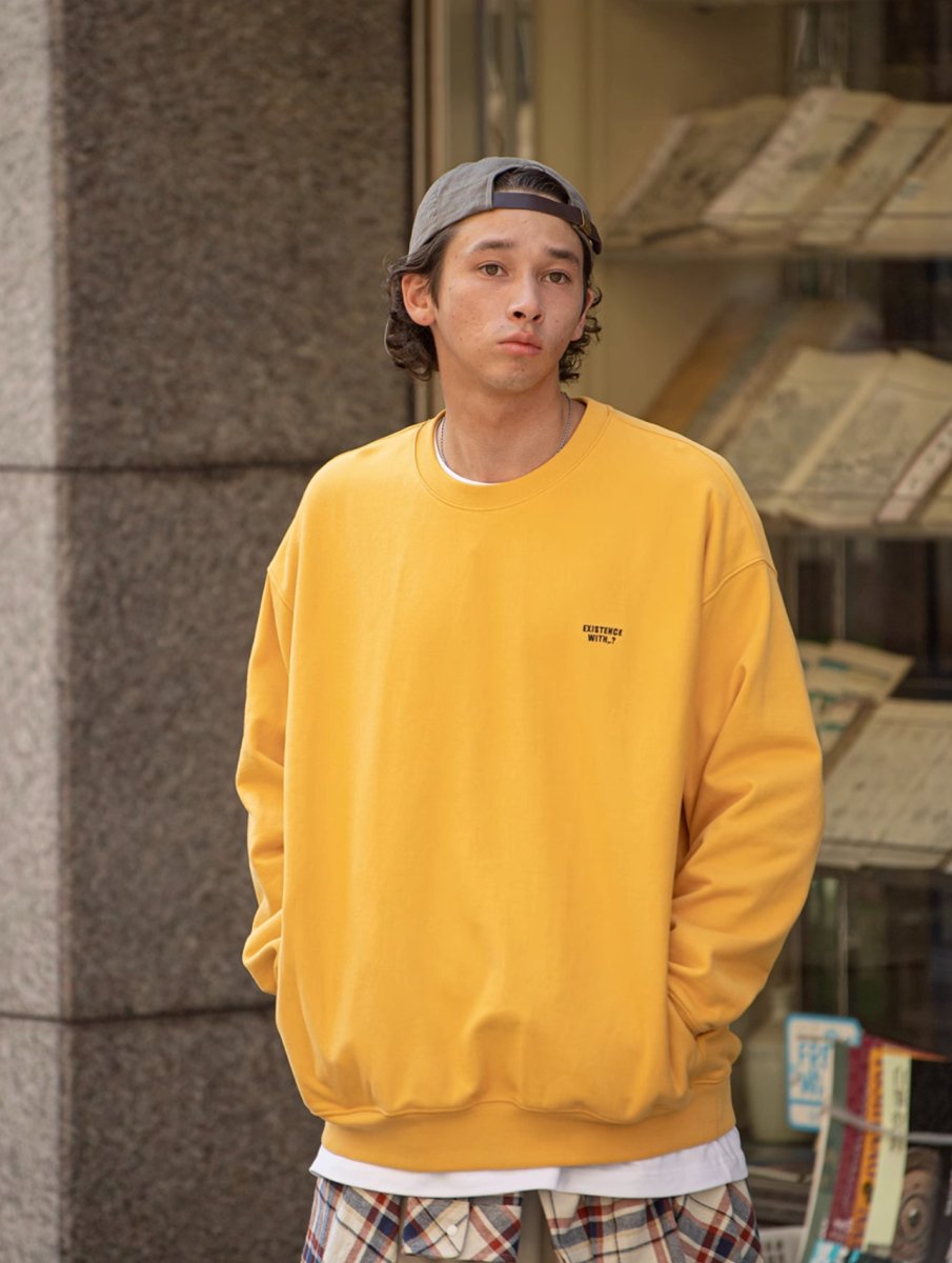【遠赤外線効果】Brushed fleece sweatshirt N2379 - NNine