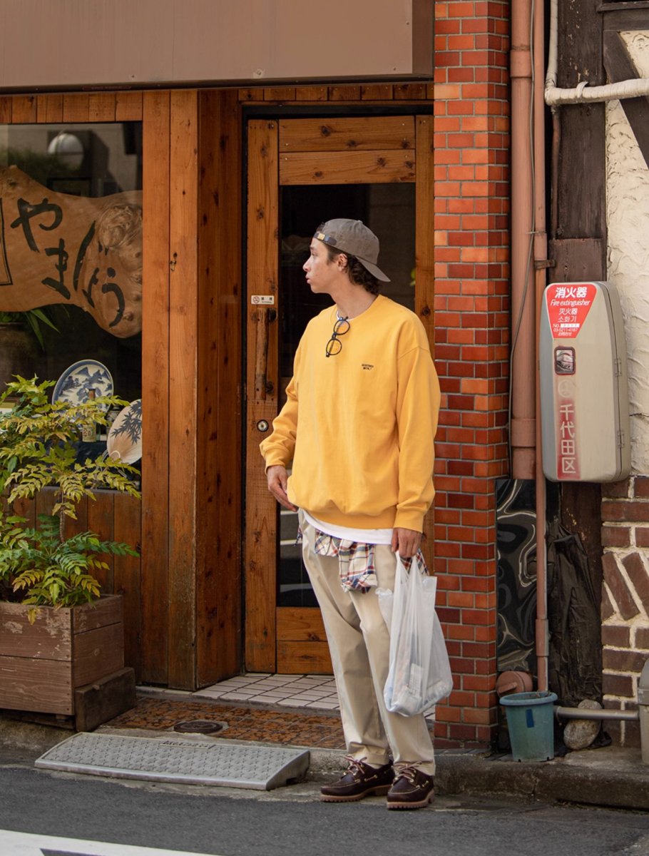 【遠赤外線効果】Brushed fleece sweatshirt N2379 - NNine